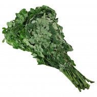 S&R Malunggay Leaves approx. 600g 